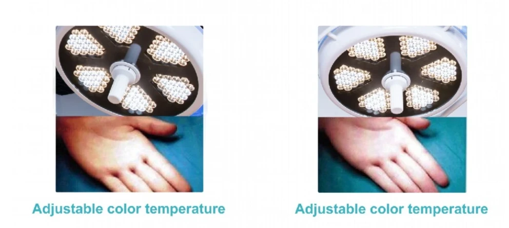 Veterinary Surgery Lights
