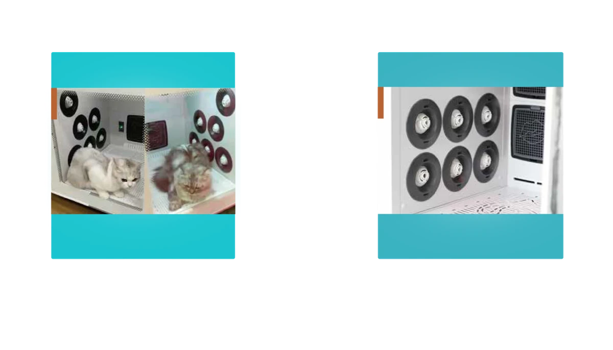 product-2048-1170 product-2048-1170